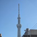 Dream tree | 도쿄 스카이트리 ㅡ전망대 350m 450m 총2곳