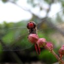 준태농장 이미지