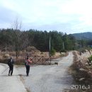 용바위농장 Daum카페