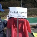 (주)정필