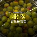 경성테크 | [매실청 레시피] 홍매실 10kg로 매실청 담그기