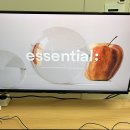 하가 PC | 가성비모니터암 추천 이지밸런스 싱글모니터암 간편 설치 후기
