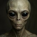 미스터리 이미지