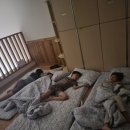 운수초등학교 | 칠곡숲체험 하기 좋은 칠곡숲체원 운수초등학교 방문후기