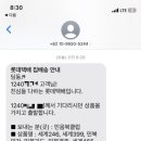 솔트케이크주