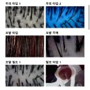 더마음모리 | 모리바이브 AC-PRO 아크네 케어 스킨부스터 / 도라랩 정밀 두피·피부 진단 후기!