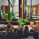 시목스테이 이미지