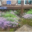 동해황토민박 이미지