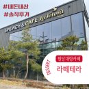 테라브런치 | [내돈내산] 원당 브런치카페 라떼테라 솔직후기