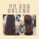 샬롱드로웰미안산중앙점 수진디자이너 염색 후기, 붉은끼 잡는 브라운 컬러