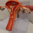 인애한의원 이미지