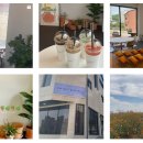 살피정원 이미지