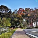 관산근린공원 다목적구장 이미지