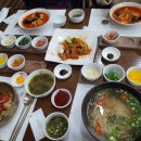 멍멍식객 이미지