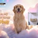 몽몽이엠파크 이미지