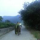 길부지 이미지