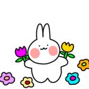 연정구이 이미지