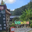 자연누리 | 광덕 아이들 물놀이 계곡 바베큐 취사 가능한 자연누리성 후기