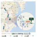 노르웨이숲 이미지