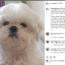 무지개다리 이미지