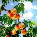 산그린펜션 이미지