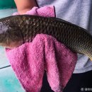 배양낚시터 이미지