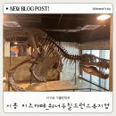 아기와 가기 좋은 미국형 키즈카페 시흥 워너두칠드런스뮤지엄 22개월 방문 후기