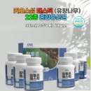 유향 이미지