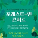 라이징스타 이미지