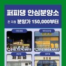 퍼피댕 강아지분양 안심분양소 청주점 말티푸미니비숑토이푸들 이미지