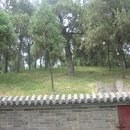 백마사 - 강북구 삼양로19길 157 | 백마사