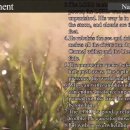 Nahum (나훔) 영어성경 NIV 이미지