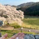 맥시칸임은체인점 이미지