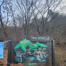 차곡리 | [충북] 음성 수레의산 자연휴양림 후기