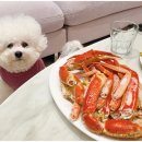 오션나비드풀빌라 - 17695 | 오션나비드풀빌라