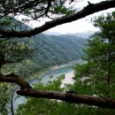 솔밭 이미지