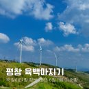 강변도로 전 구간 및 각 진입로 | 평창 청옥산 육백마지기 차박 꼭 알아야 할 정보 25년 6월 데이지 현황