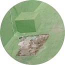 은혜고등학교 이미지