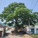 이동면 화계 이미지