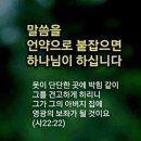 언약 이미지