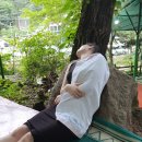 진송오리 이미지