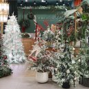 레드플라워(RED FLOWER) | 홀리데이 무드 가득한 트리 클래스 초이문 아티산 플라워 나인원 한남점 방문 후기