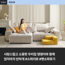 반하개 | 앉자마자 반하개 펫플루언서의 펫 소파 #펫리뷰 #소파후기