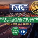 법인화요일