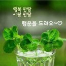 신침한의원 이미지