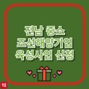 전남 조선·해양기업에 정부 지원 쏟아진다?! 2025 육성사업 신청방법 총정리