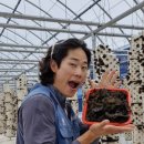 종덕농장 이미지