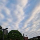 ◇ 새로 단장한 &#39;대구 국립 박물관&#39; ◇ 이미지