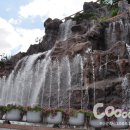 한국1호 이미지