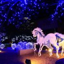 해맞이행사장 이미지